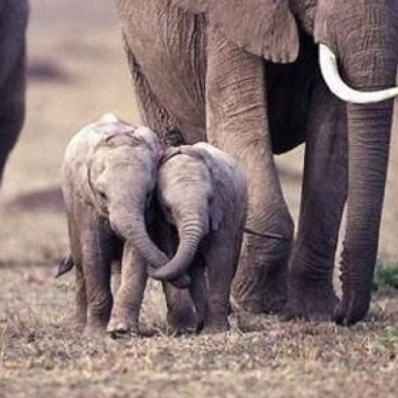 Bundle Up For a Discount! - Picture 4 of 7